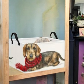 Faltbox mit Winterrauhi